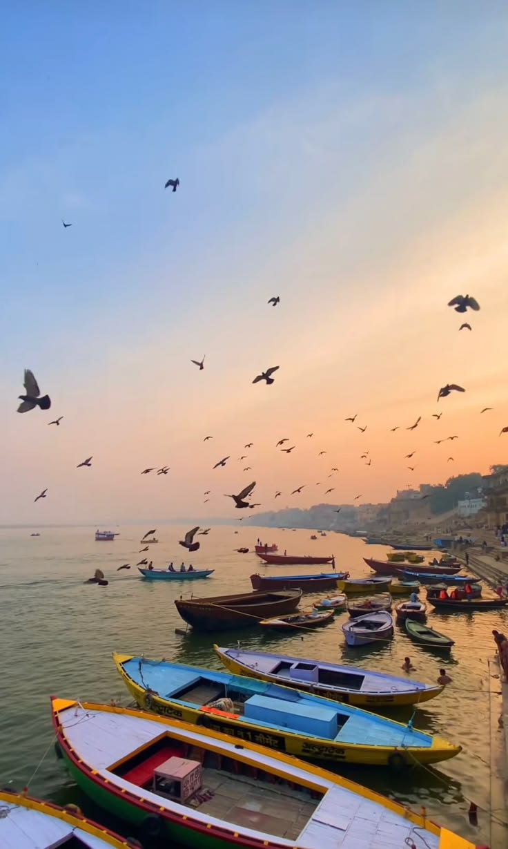 Arrival in Prayagraj & Triveni Sangam